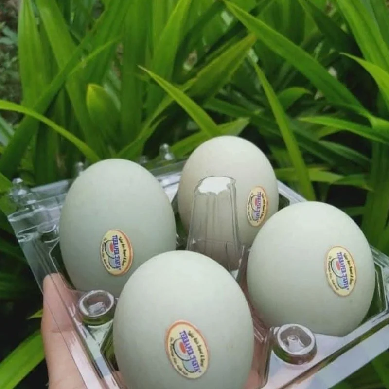 Telur Asin "TERBAPER" - Gambar 3